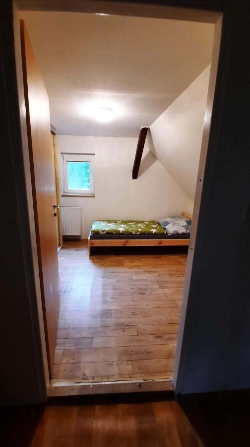Dum U Lesa - Nove Hamry Villa Dış mekan fotoğraf