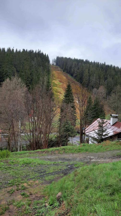 Dum U Lesa - Nove Hamry Villa Dış mekan fotoğraf